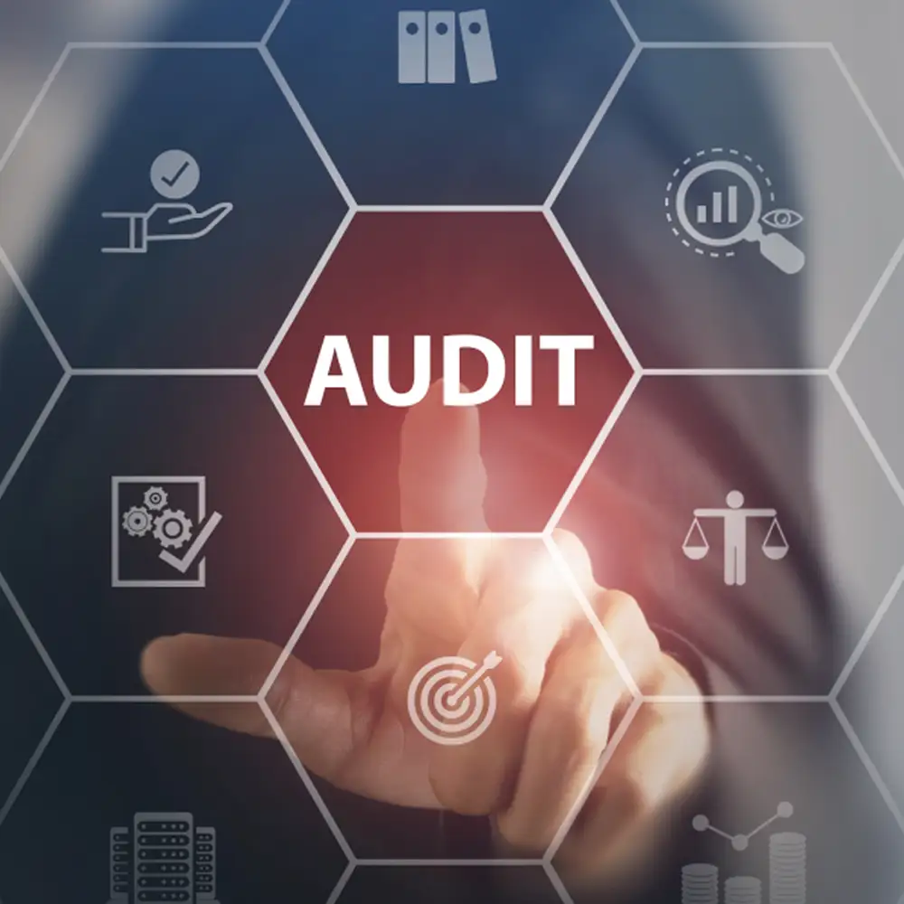 audit
